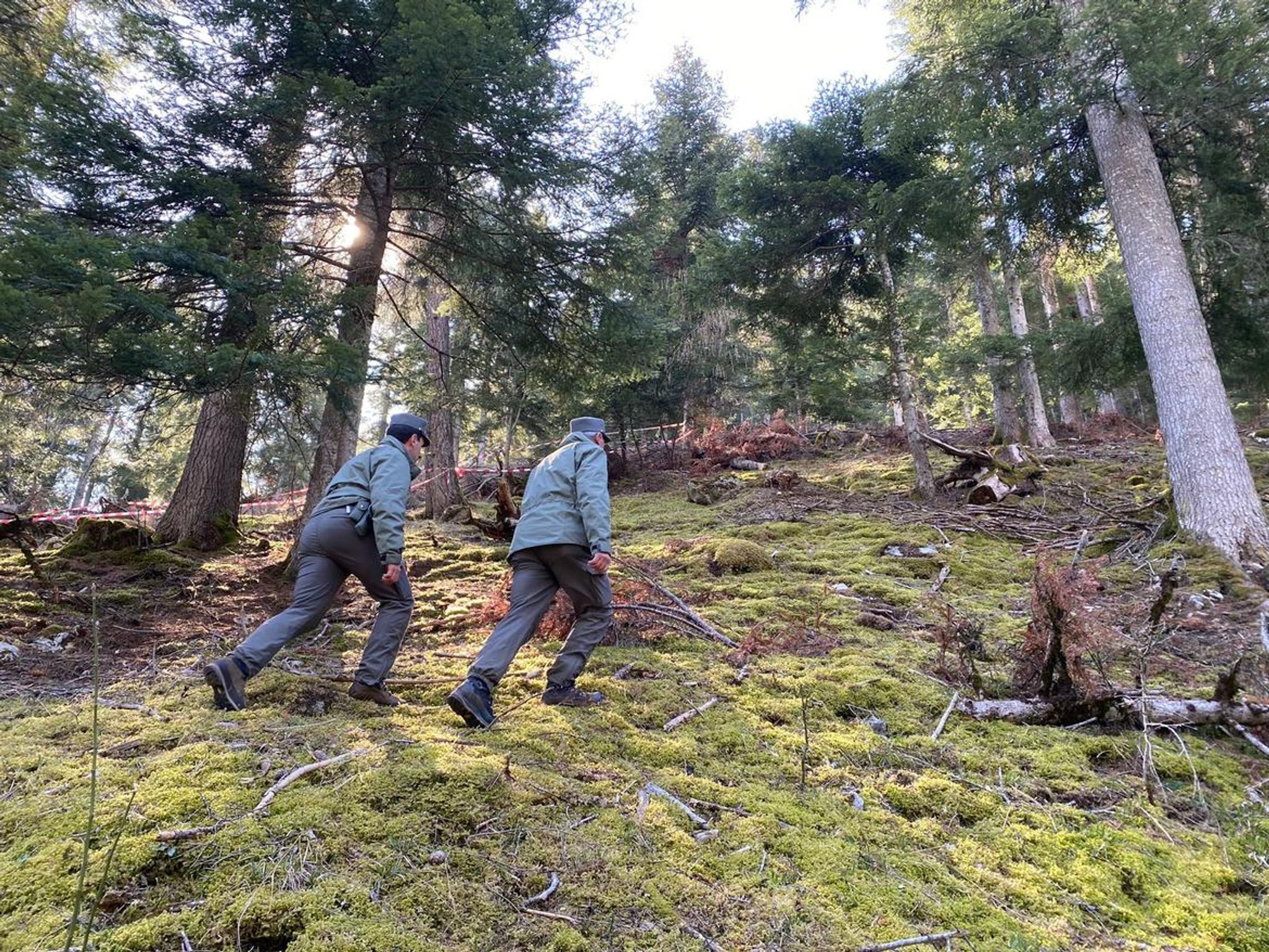 Polizeibeamte durchkämmen das Gebiet, in dem der Jogger von einer Bärin attackiert und getötet wurde. Foto: Provinzregierung  Trentino/dpa