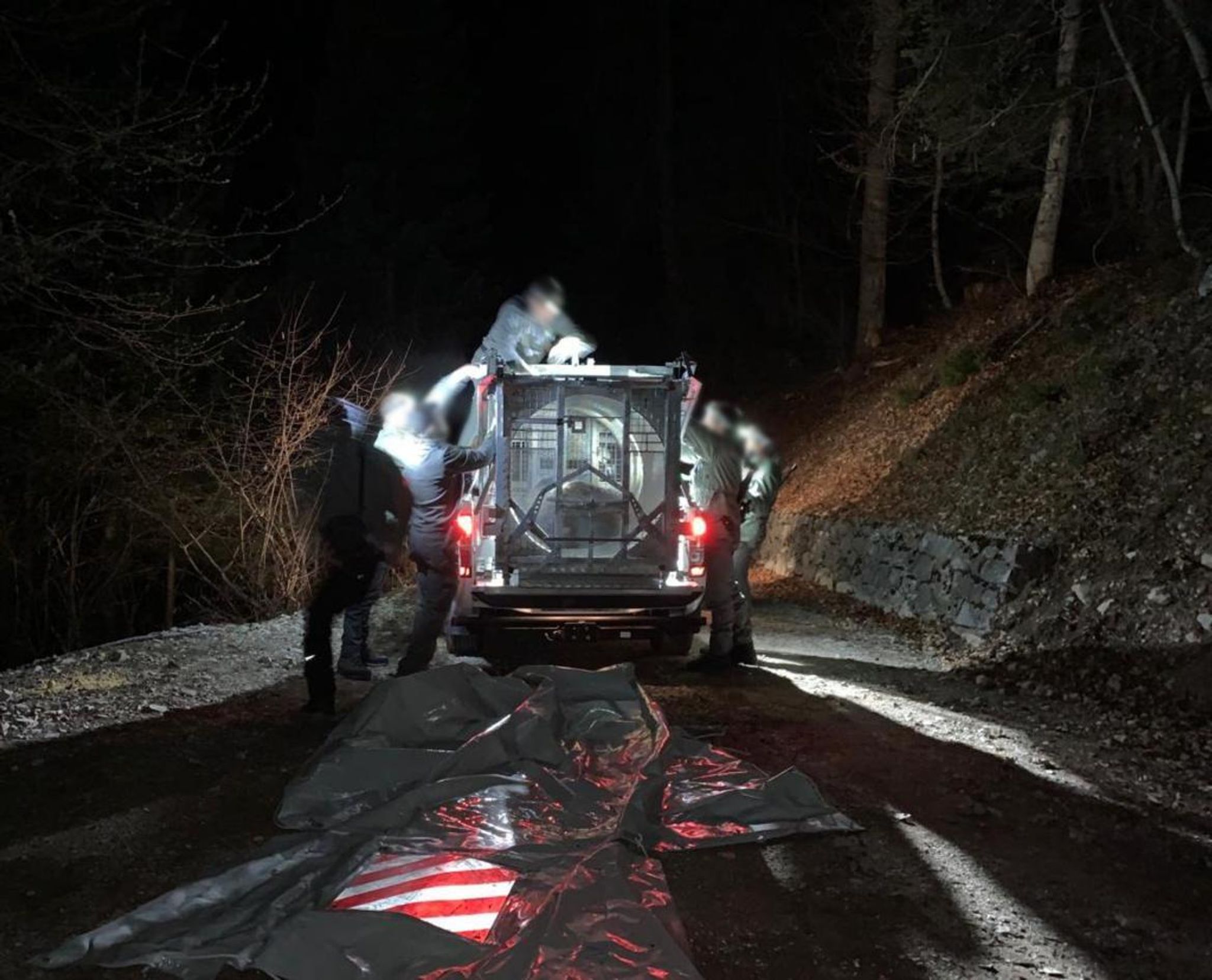 Mitarbeiter des Trentiner Forstkorps bereiten den Transport der Bärin JJ4, die in der Nacht mit Hilfe einer großen Rohrfalle gefasst wurde, in ein Wildreservat vor. Foto: -/Provinzregierung  Trentino/dpa