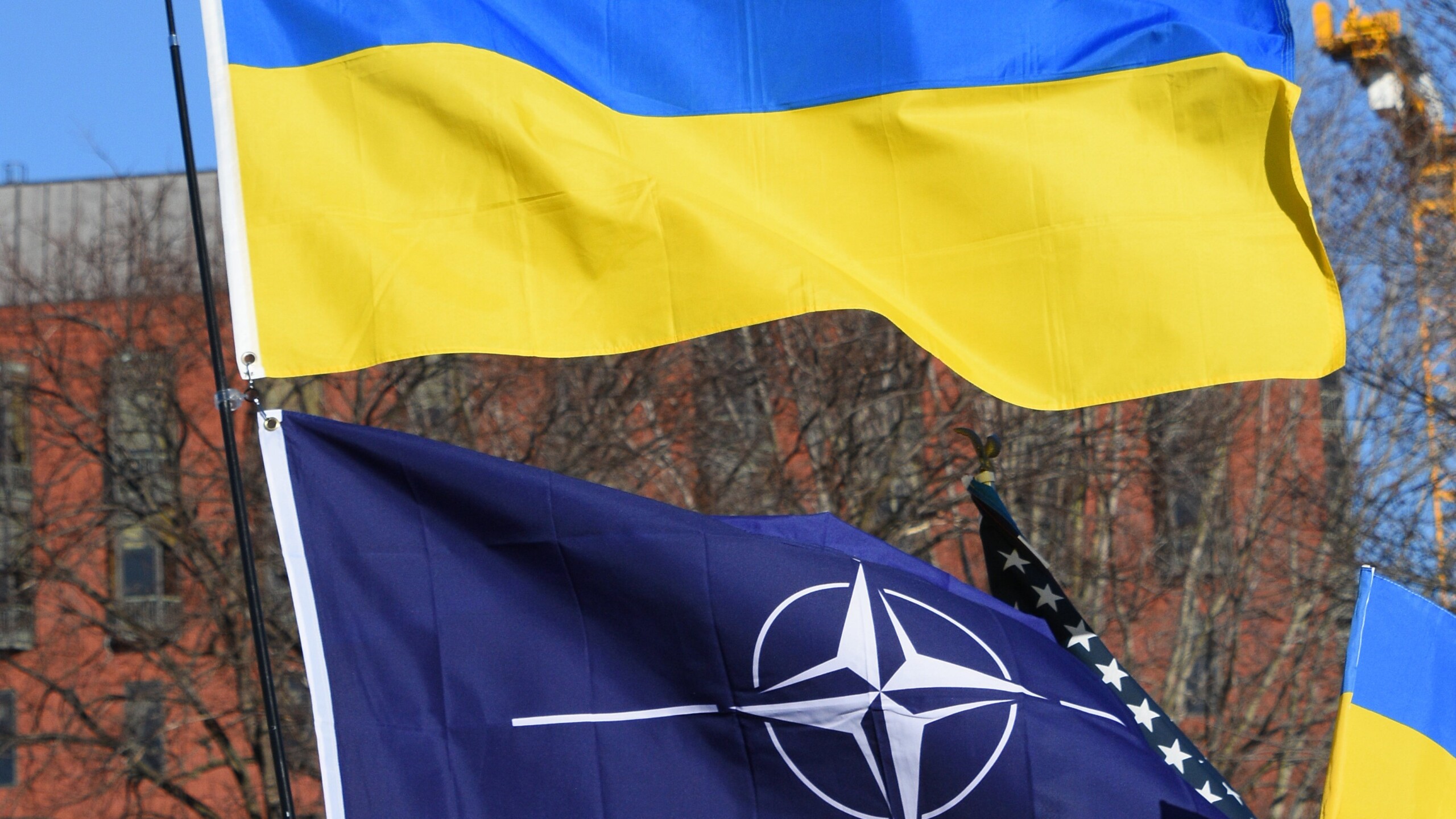 Archivbild: "Protests Against War in Ukraine 089 - American Ukrainian Nato Flags" by Amaury Laporte is licensed under CC BY 2.0. (cropped)