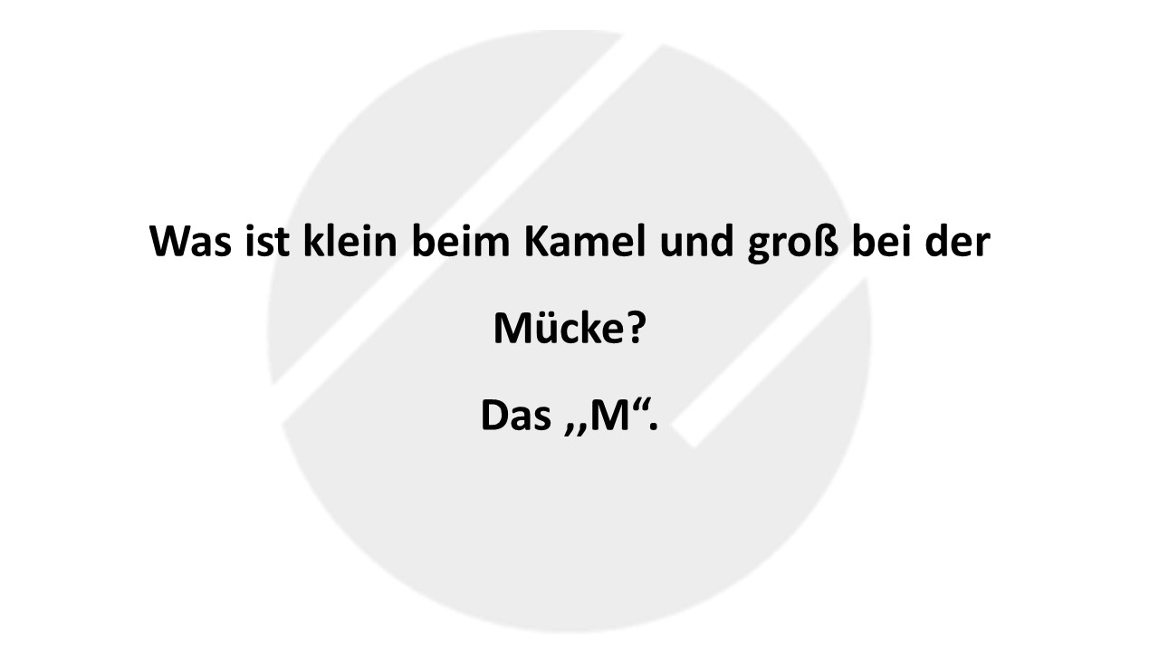 Witz des Tages