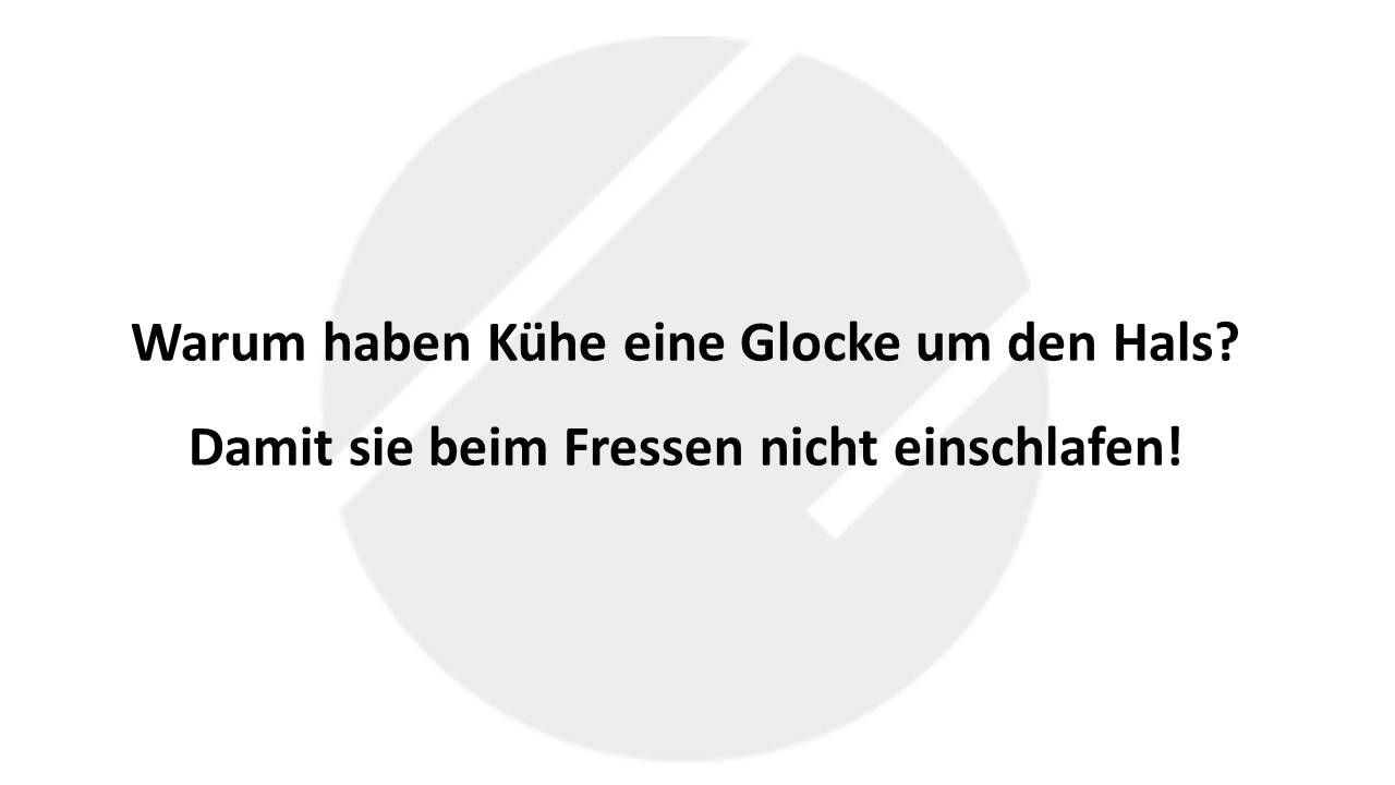 Witz des Tages