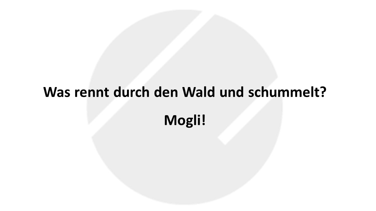 Witz des Tages