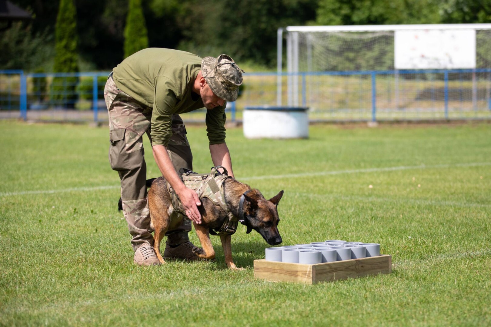 [Spürhund beim Training / by Armyinform / CC BY 4.0. / https://creativecommons.org/licenses/by/4.0]