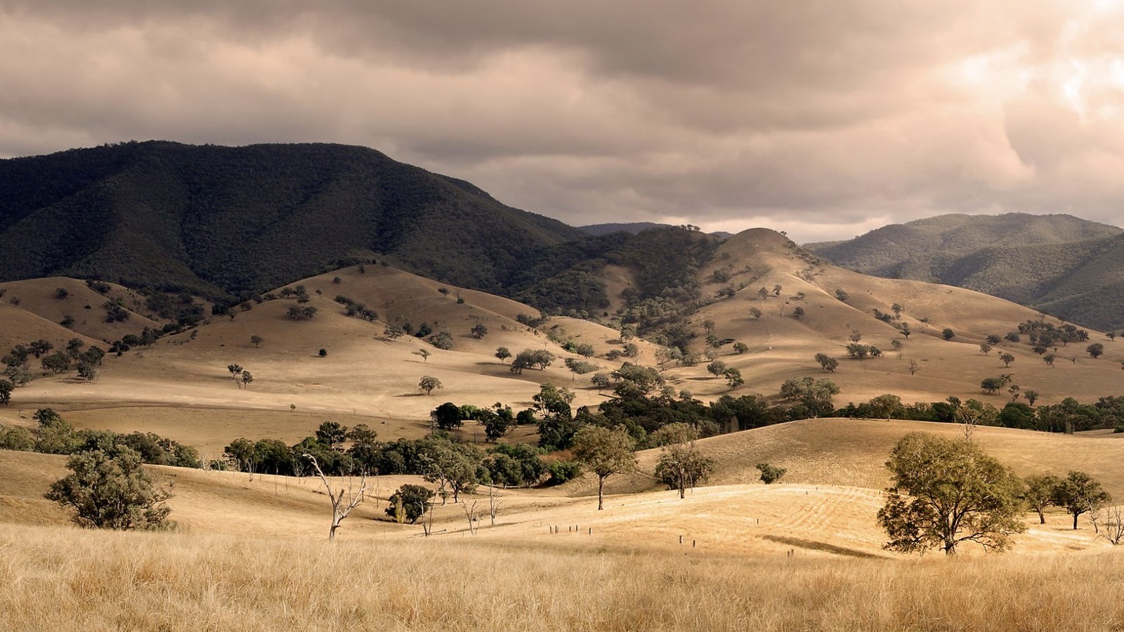 Australien / Archivbild (cropped) / Conners Hill - East Gippsland Shire, Victoria, Australia by Trodel is licensed under CC BY-SA 2.0. https://creativecommons.org/licenses/by-sa/2.0