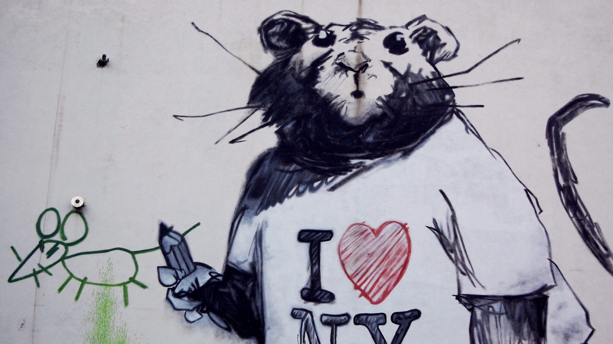 New York Ratte / Archivbild (cropped) / I LOVE NY RAT by laverrue is licensed under CC BY 2.0. https://creativecommons.org/licenses/by/2.0