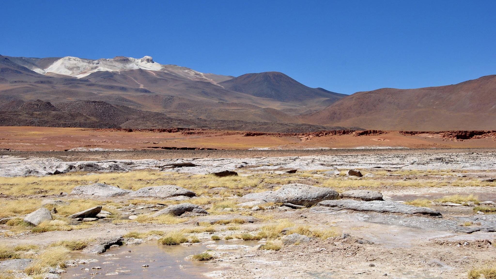 Atacama Wüste / Archivbild (cropped) / Atacama Desert by Leandro's World Tour is licensed under CC BY 2.0. https://creativecommons.org/licenses/by/2.0