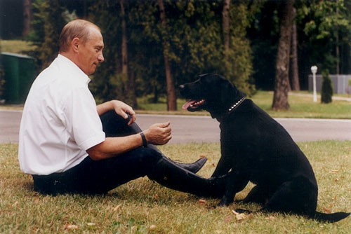 File:Vladimir Putin and Koni-4.jpg by Presidential Press and Information Office is licensed under CC BY 4.0.